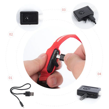 LED-halsbånd til hund og katt – oppladbart med 3 lysmoduser